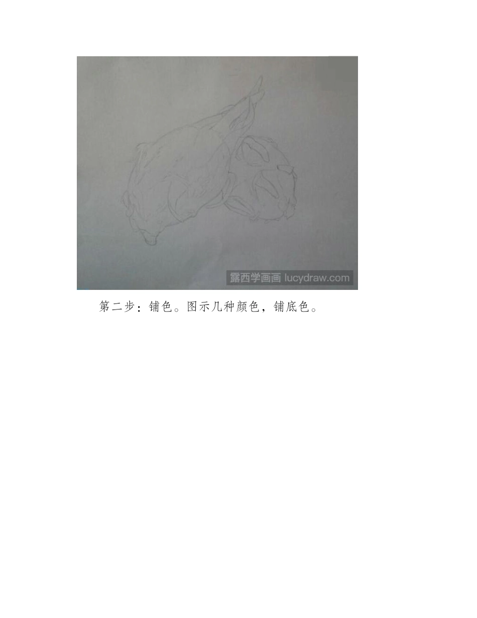 火龙果彩铅画教程彩铅画教程_第2页