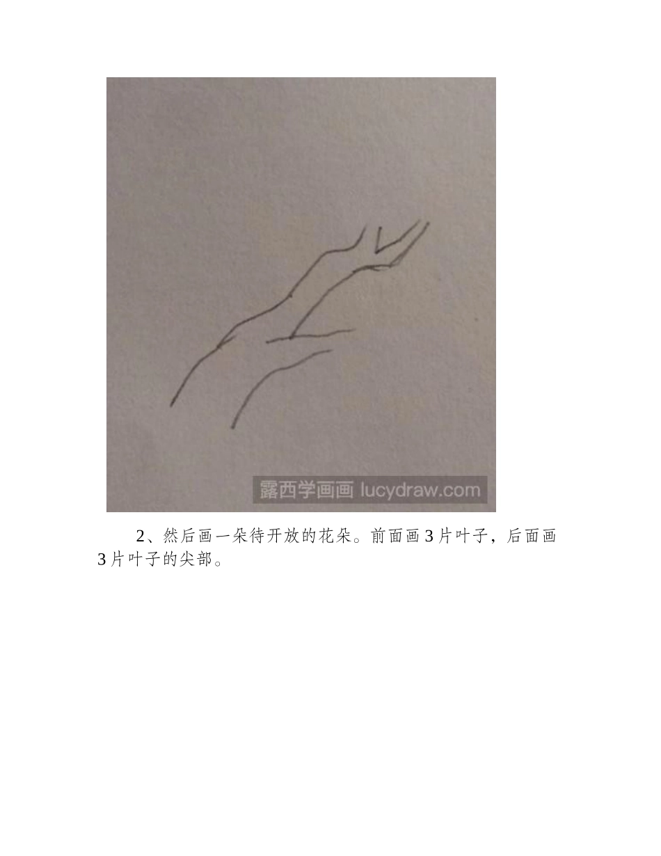 简笔画桃花怎么画简笔画教程_第2页