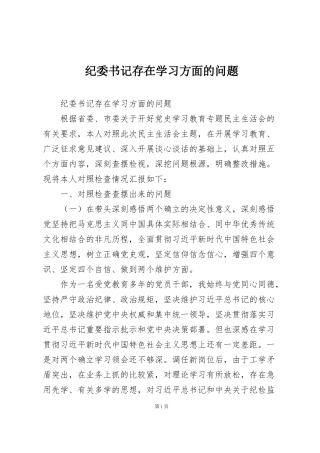 纪委书记存在学习方面的问题