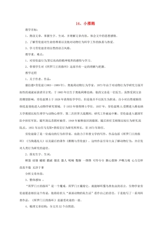 七年级语文下册 14 小雁鹅教学设计2 长春版教材-长春版教材初中七年级下册语文教学设计