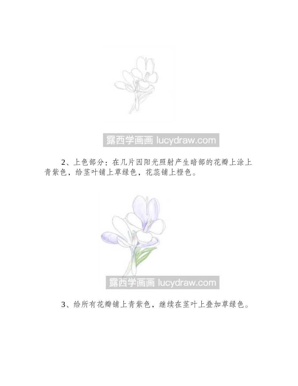 教你画紫罗兰花朵彩铅画教程_第2页