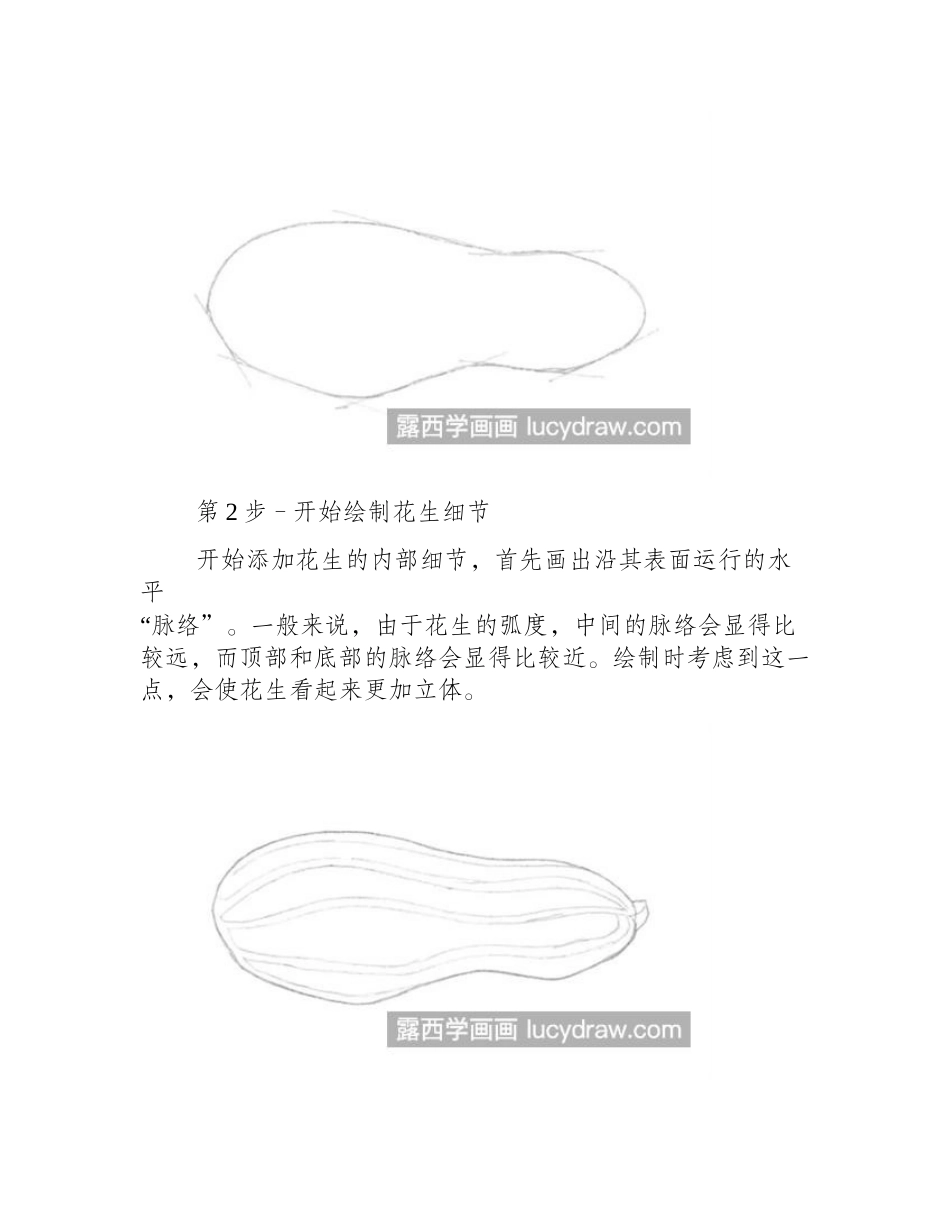 花生怎么画_怎么一步步画花生_素描教程_第2页