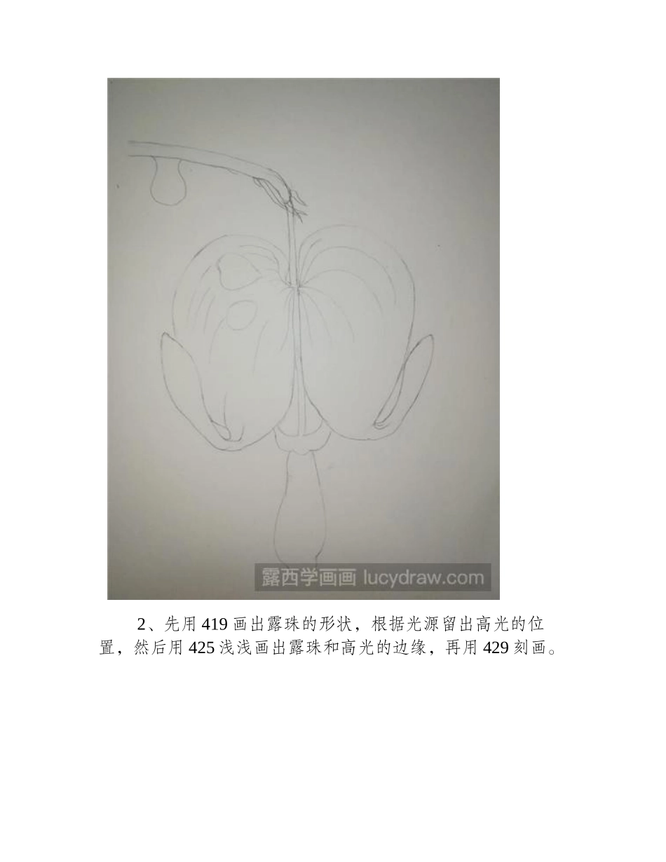 教你画荷包牡丹彩铅画教程3_第2页