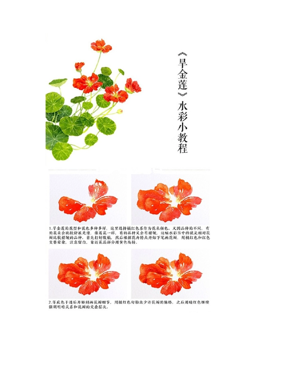 简单唯美的水彩莲花画法水彩画教程1_第2页