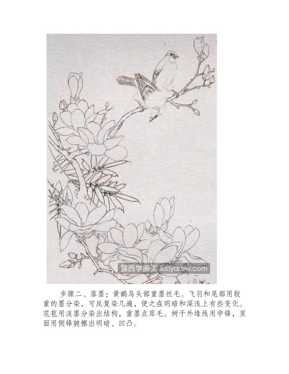 黄鹂鸟怎么画_玉兰花设色步骤有几步_工笔画教程_第2页