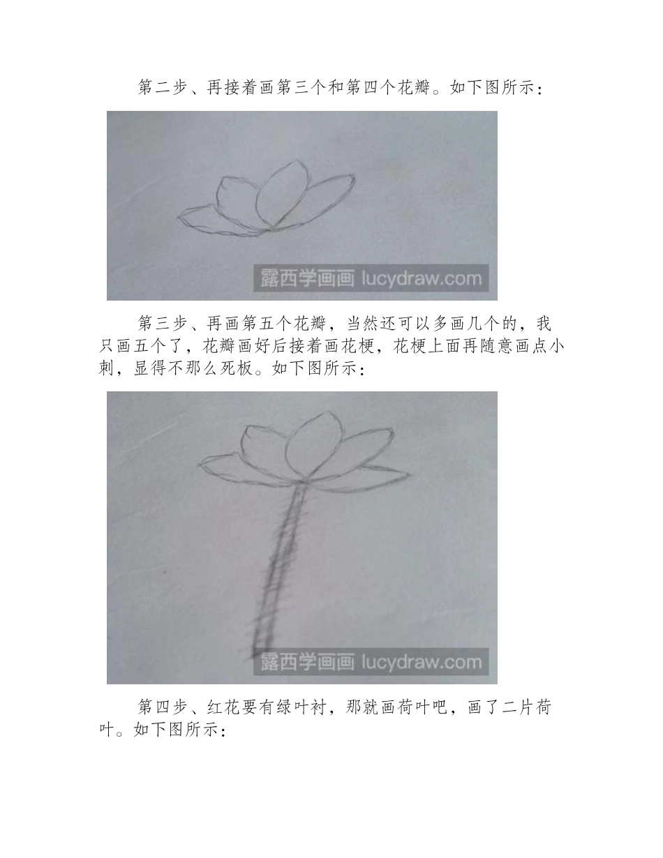 简笔画教程：教你画荷花简笔画教程_第2页