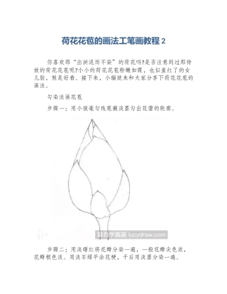 荷花花苞的画法工笔画教程2