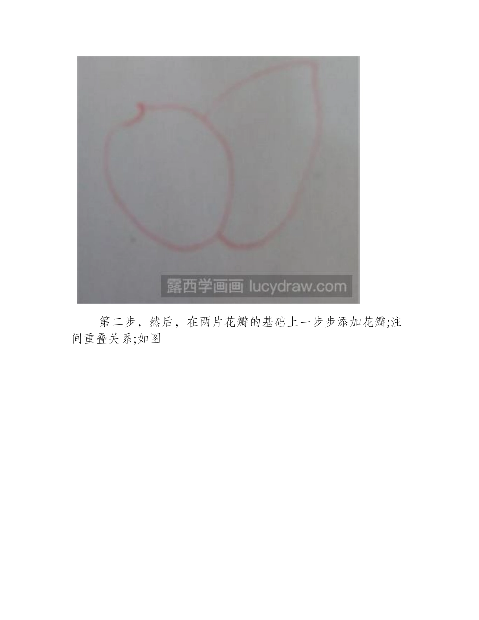 简笔画教程：盛开的莲花简笔画教程_第2页