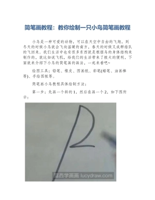简笔画教程：教你绘制一只小鸟简笔画教程