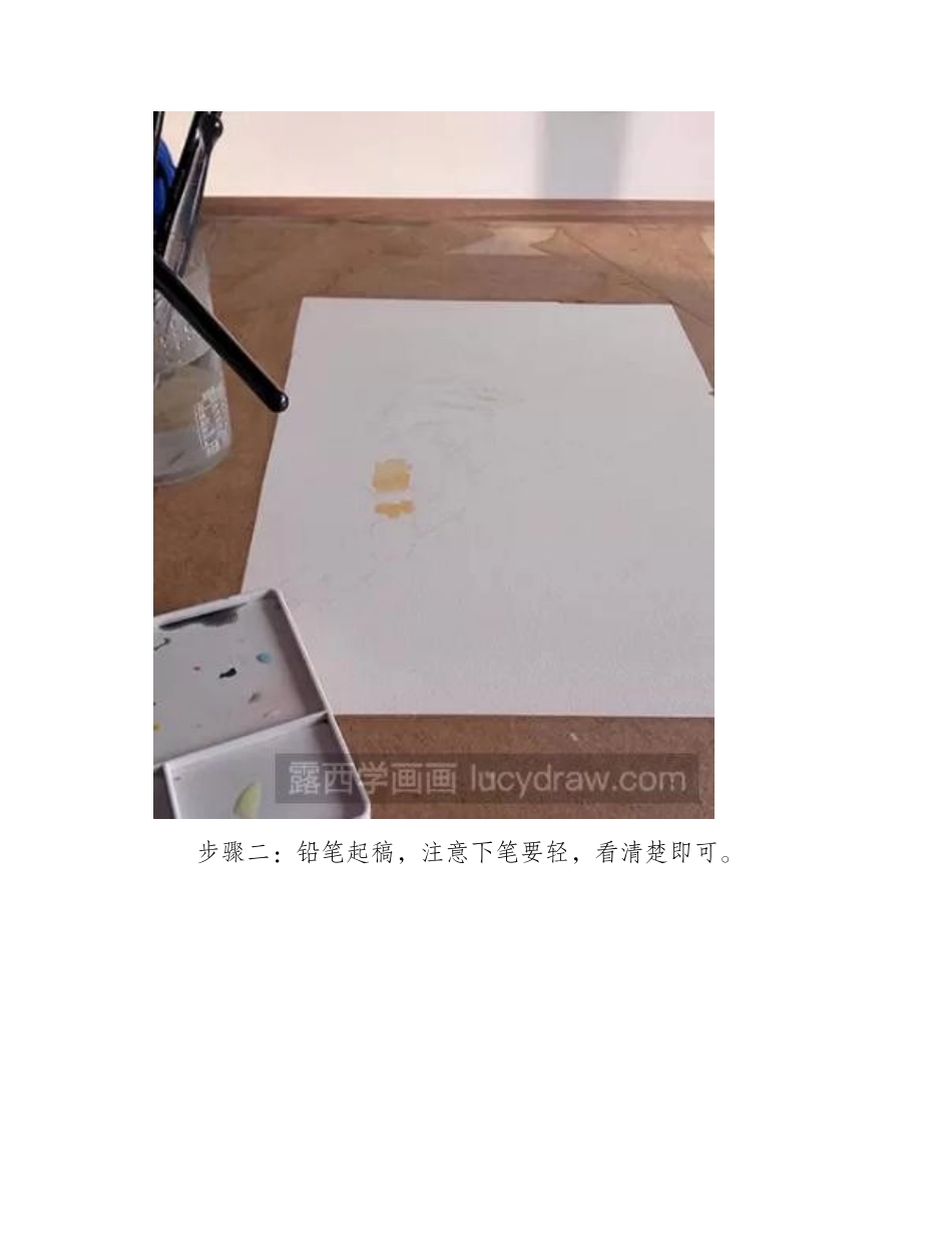 教你水彩手绘小鸟水彩画教程_第2页