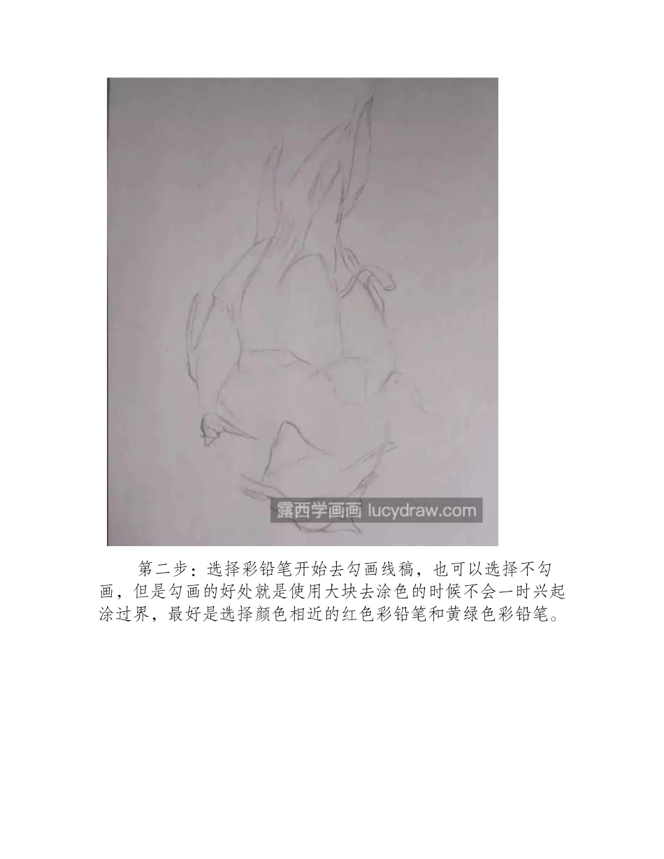 红心火龙果怎么画_具体有哪些步骤_彩铅画教程_第2页