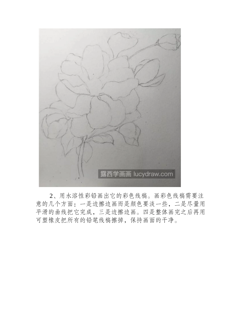 海棠花怎么画_水彩海棠的绘画步骤有哪些_水彩画教程_第2页