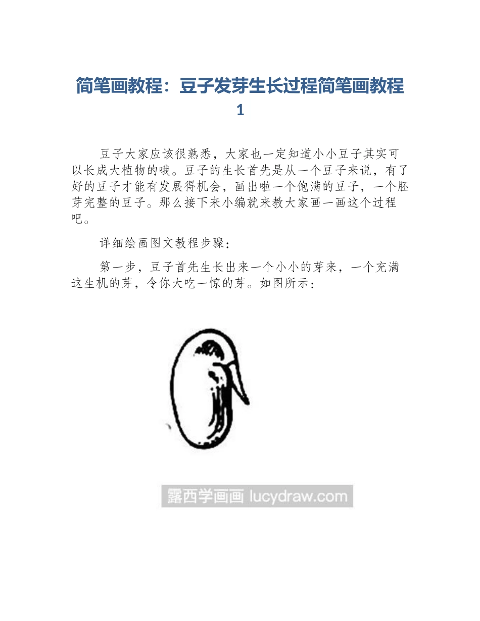 简笔画教程：豆子发芽生长过程简笔画教程1_第1页