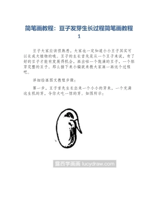简笔画教程：豆子发芽生长过程简笔画教程1