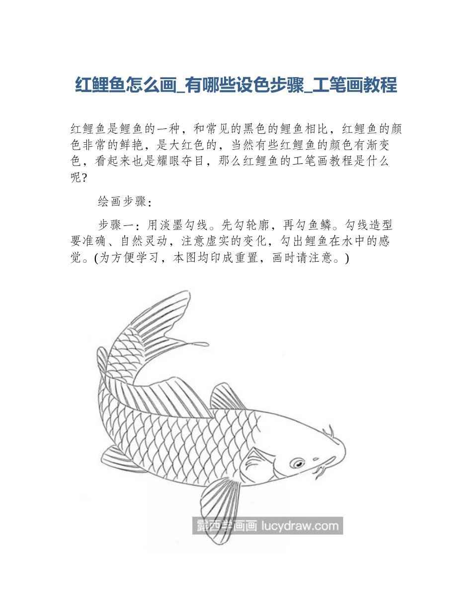 红鲤鱼怎么画_有哪些设色步骤_工笔画教程_第1页