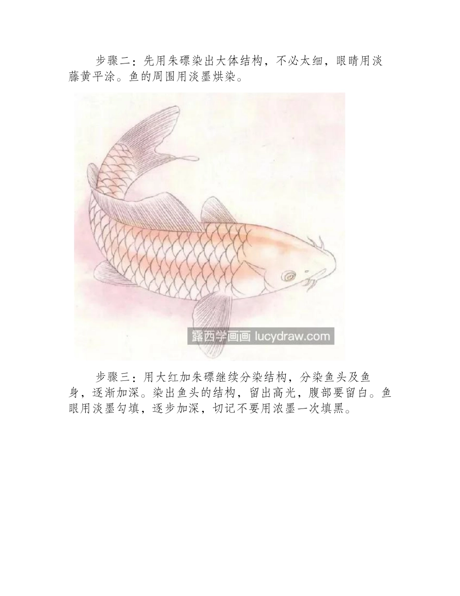 红鲤鱼怎么画_有哪些设色步骤_工笔画教程_第2页