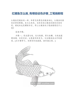 红鲤鱼怎么画_有哪些设色步骤_工笔画教程