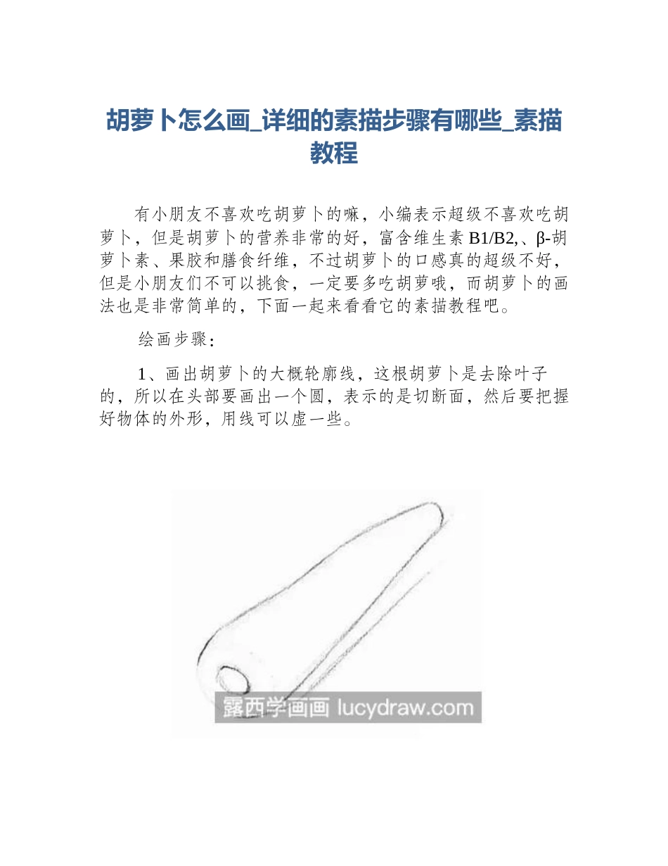 胡萝卜怎么画_详细的素描步骤有哪些_素描教程_第1页