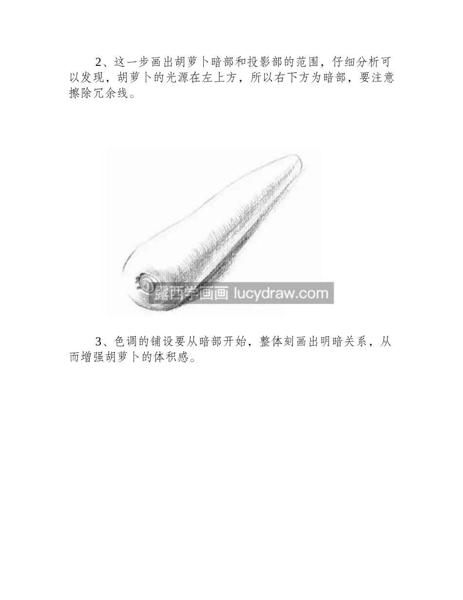 胡萝卜怎么画_详细的素描步骤有哪些_素描教程_第2页