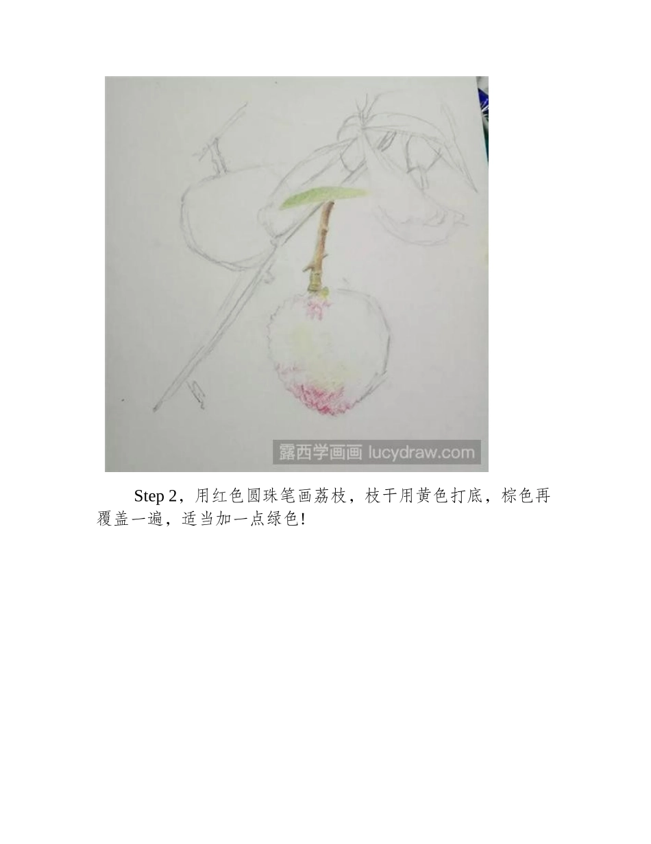 教你用圆珠笔画荔枝钢笔画教程_第2页