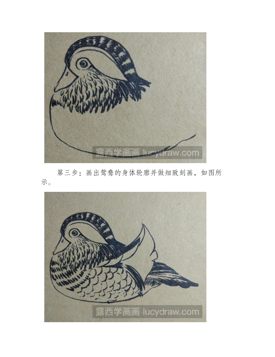 简笔画教程：教你画鸳鸯简笔画教程_第2页