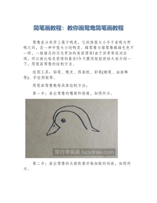 简笔画教程：教你画鸳鸯简笔画教程