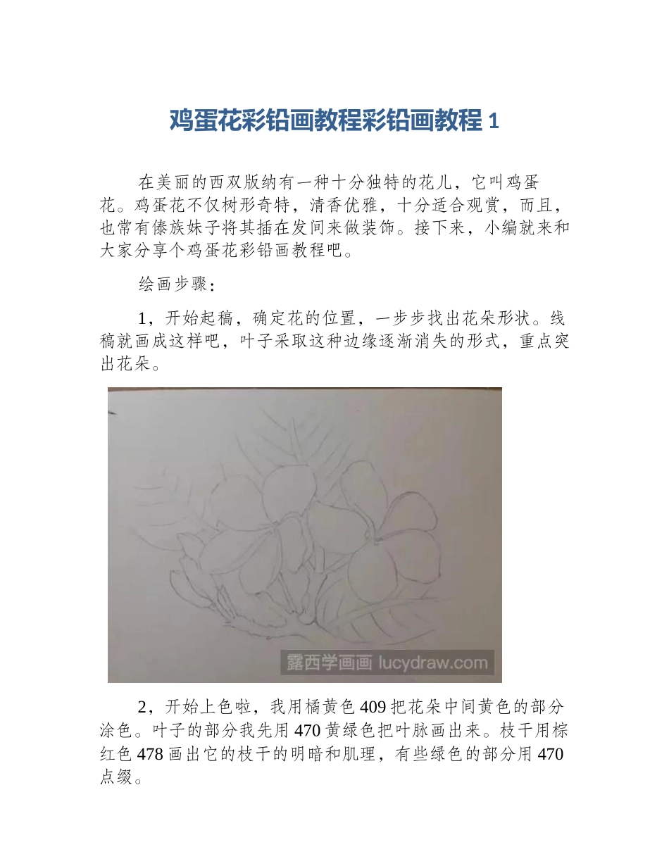 鸡蛋花彩铅画教程彩铅画教程1_第1页