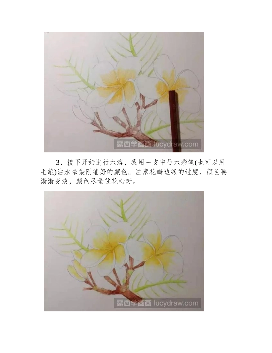 鸡蛋花彩铅画教程彩铅画教程1_第2页