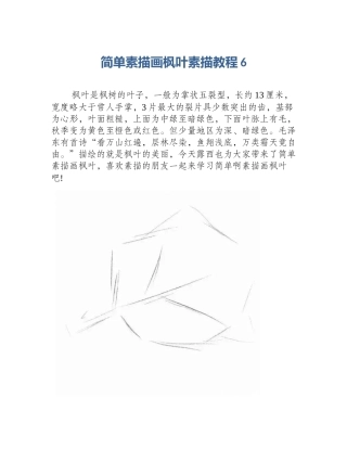 简单素描画枫叶素描教程6