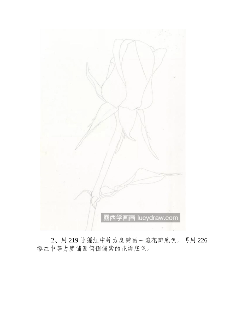 红玫瑰怎么画_详细的绘画过程是什么_彩铅画教程_第2页