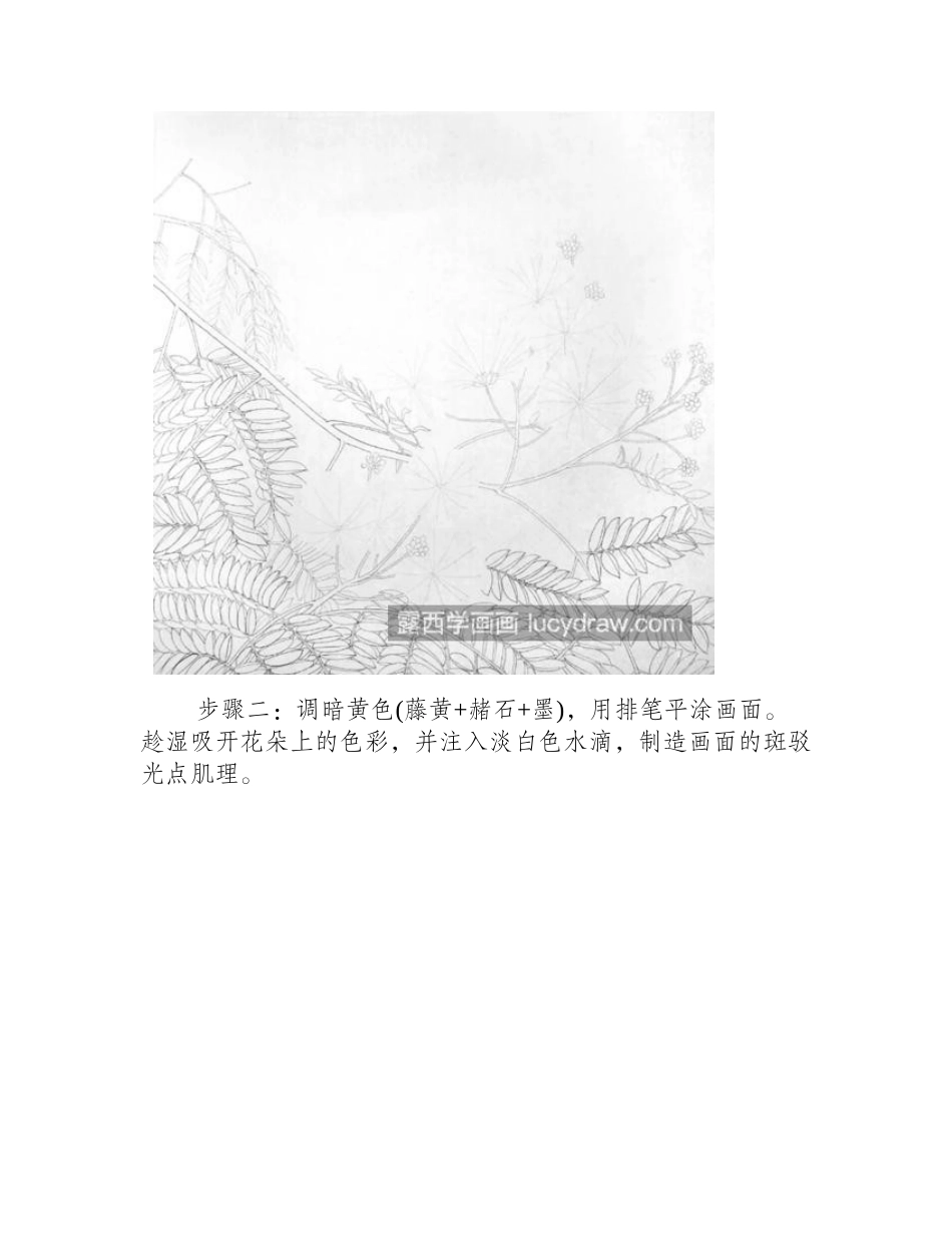 合欢花怎么画_绒花树的工笔步骤有几步_工笔画教程_第2页