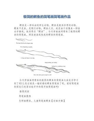 极简的鳄鱼的简笔画简笔画作品