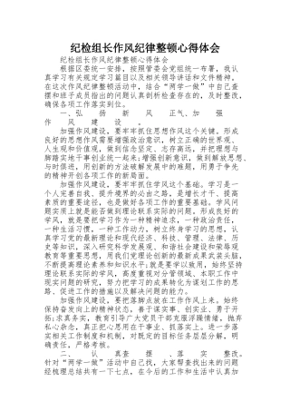 纪检组长作风纪律整顿心得体会