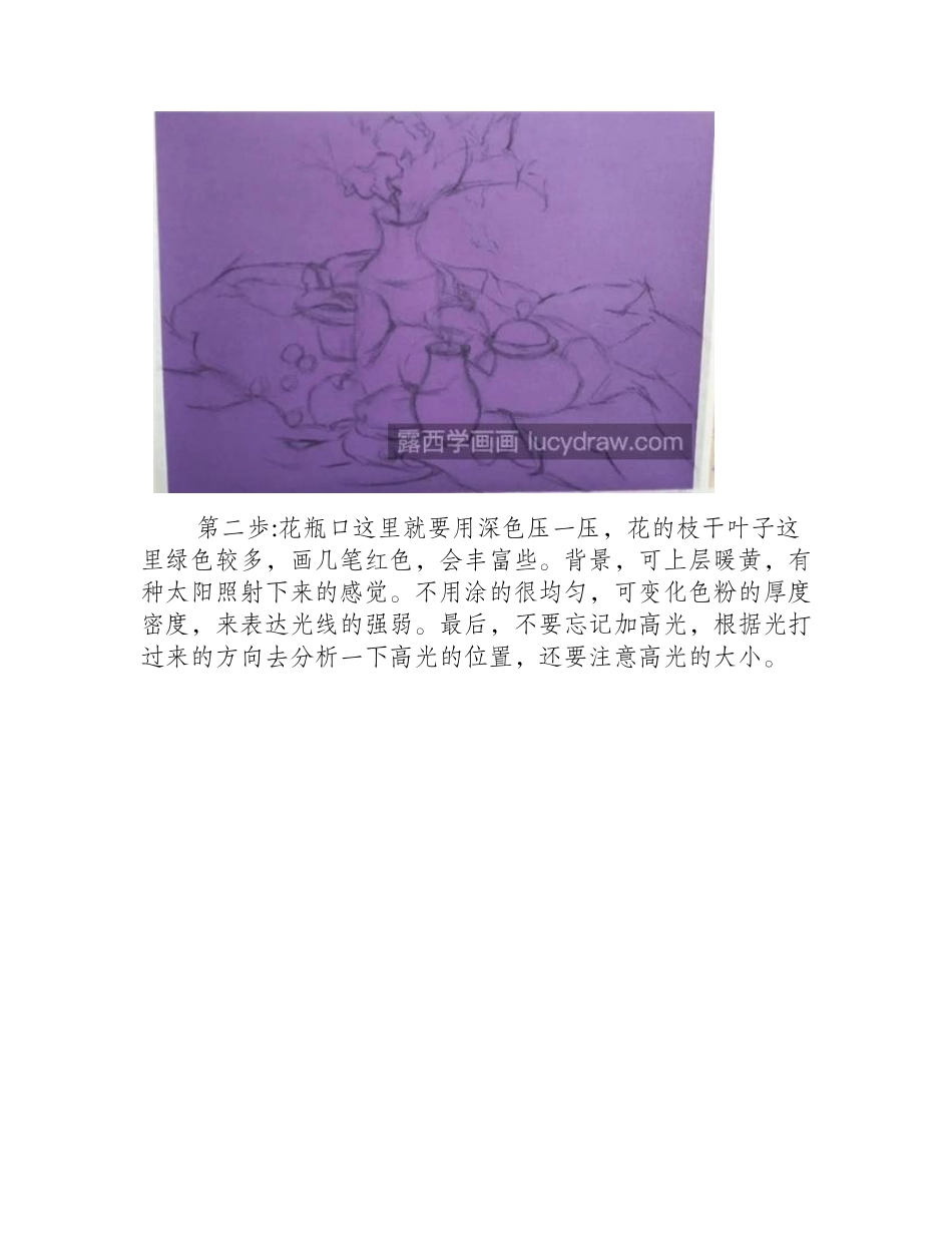 花卉水果怎么画_静物色粉画步骤有哪些_色粉画教程_第2页