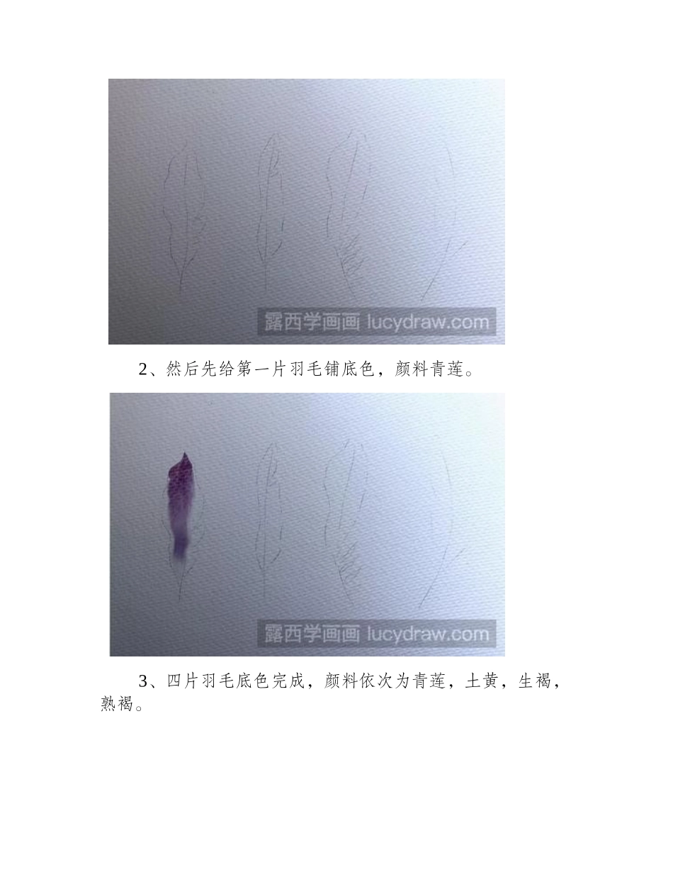 教你画四片羽毛水彩画教程_第2页