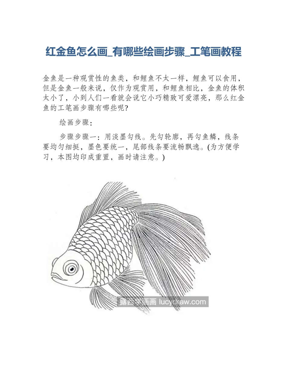 红金鱼怎么画_有哪些绘画步骤_工笔画教程_第1页