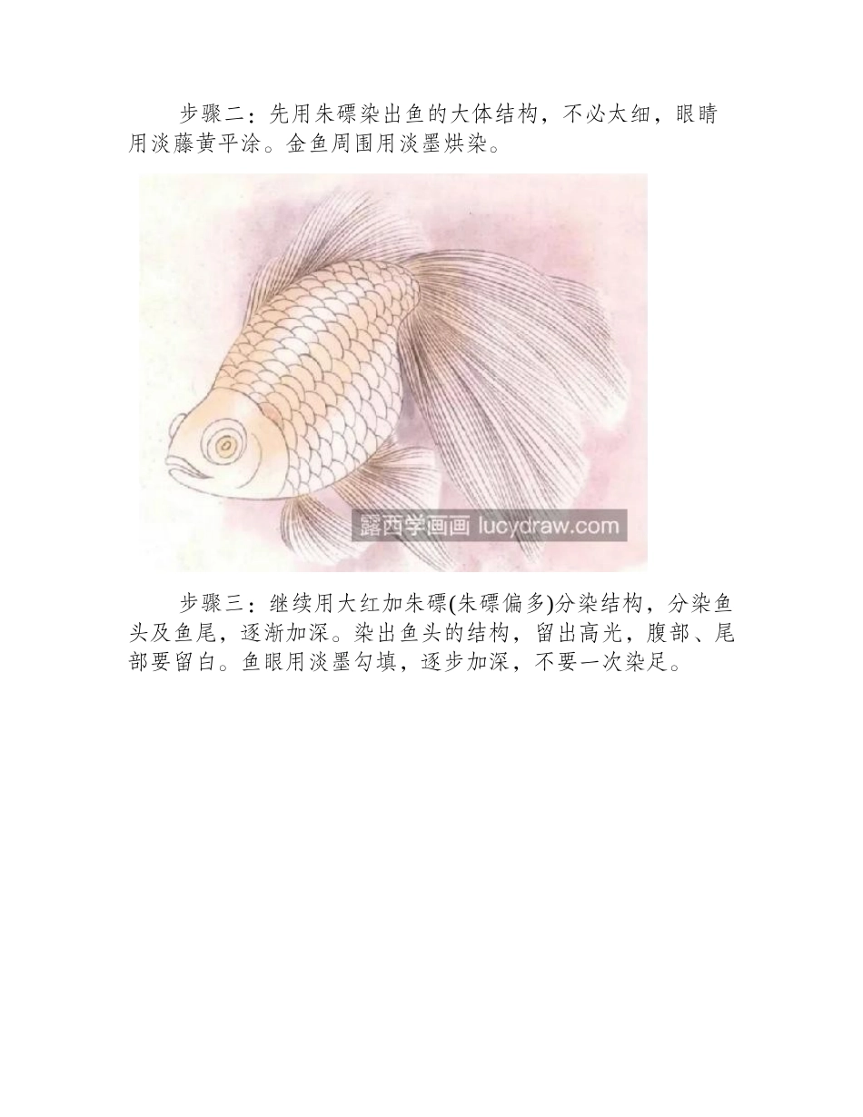 红金鱼怎么画_有哪些绘画步骤_工笔画教程_第2页