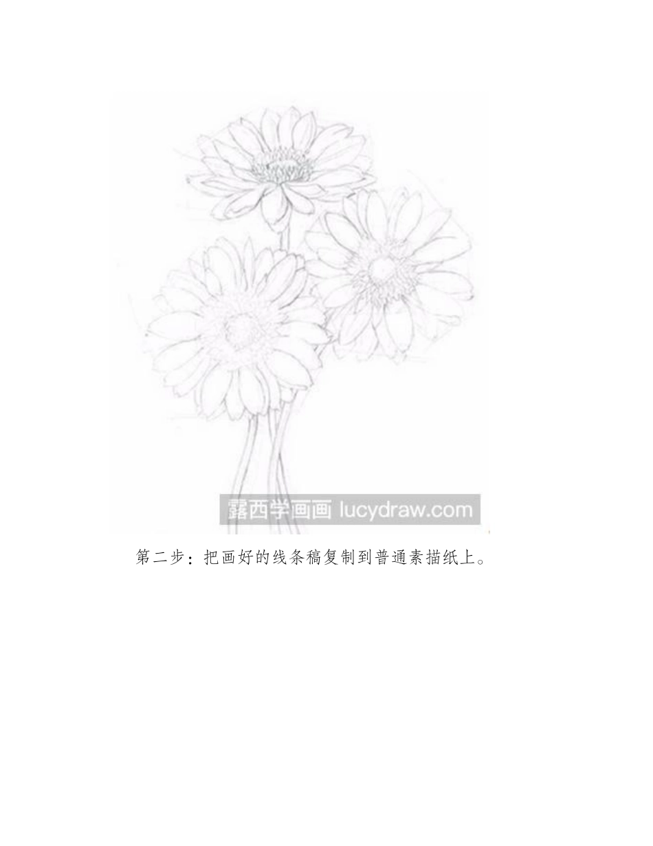 花卉素描-素描扶郎花教程素描教程1_第2页