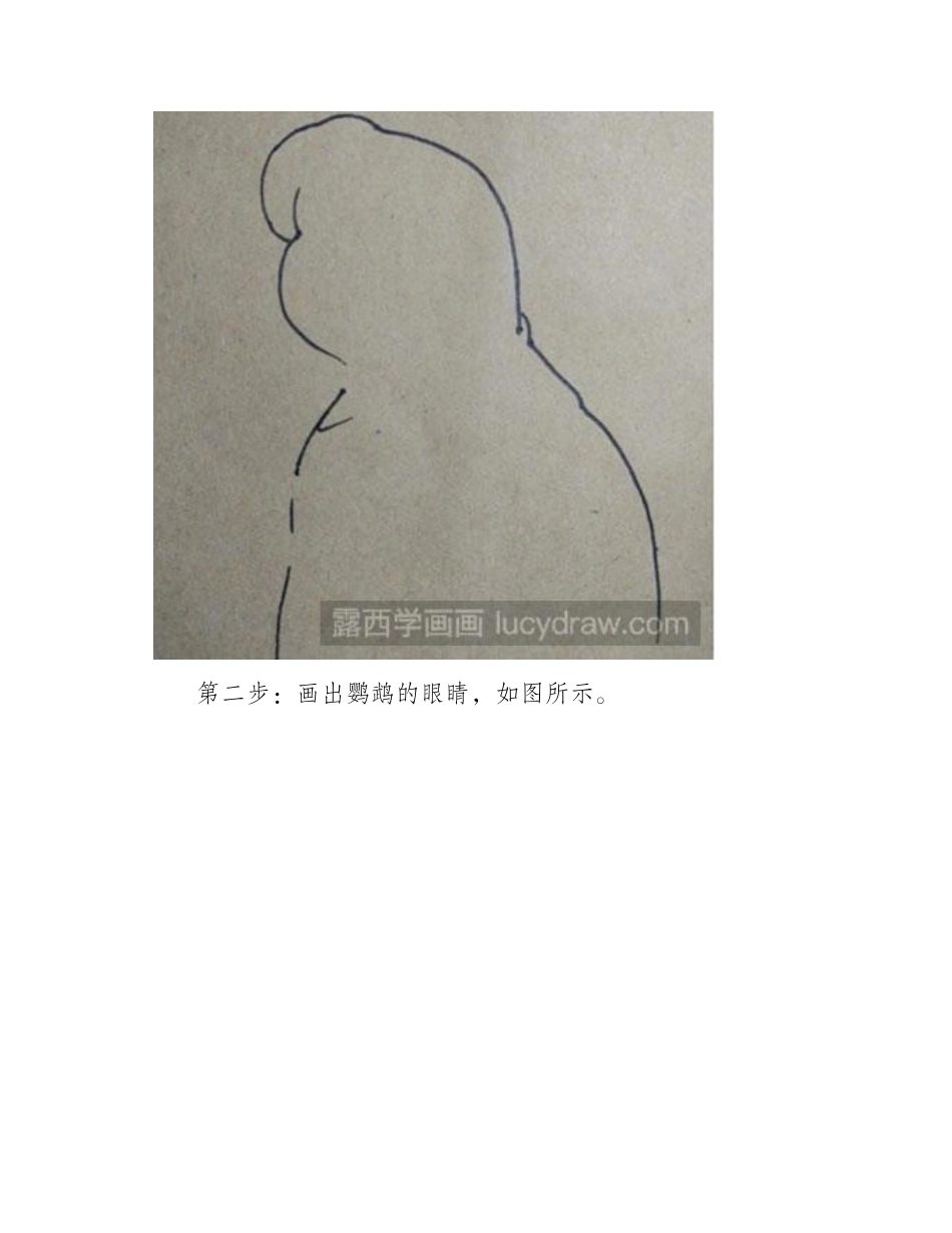 简笔画教程：教大家画鹦鹉简笔画教程_第2页