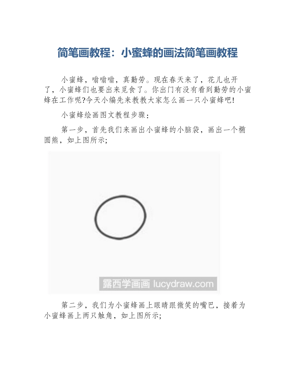简笔画教程：小蜜蜂的画法简笔画教程_第1页