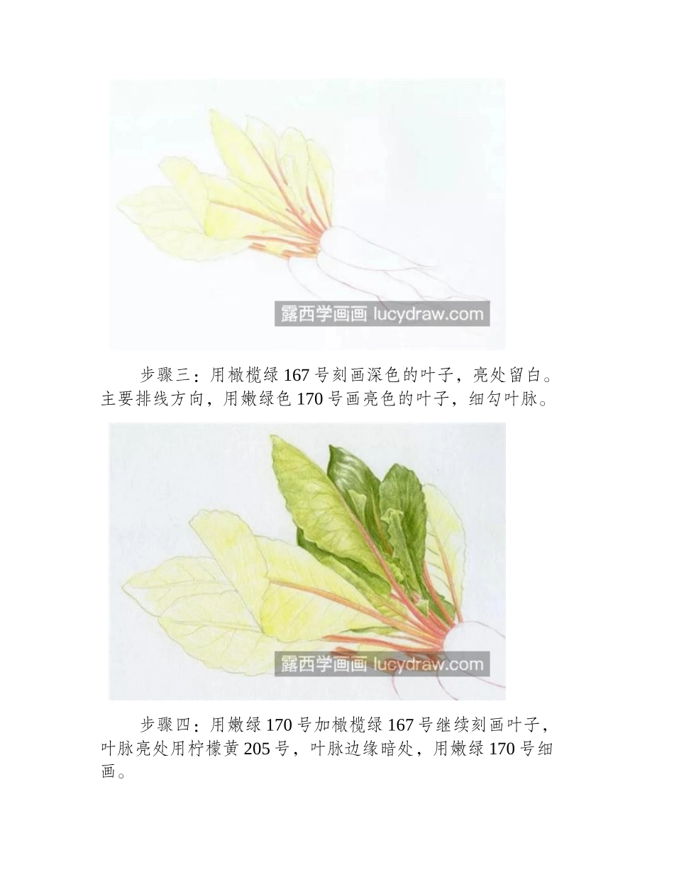 红皮萝卜怎么画_如何画新鲜的彩铅萝卜_彩铅画教程_第2页