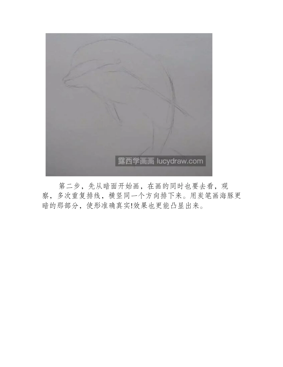 海豚怎么画_详细的素描画法是什么_素描教程_第2页