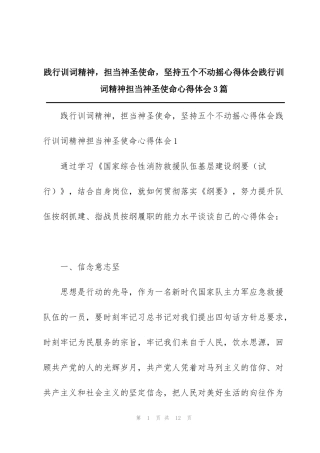 践行训词精神，担当神圣使命，坚持五个不动摇心得体会践行训词精神担当神圣使命心得体会3篇