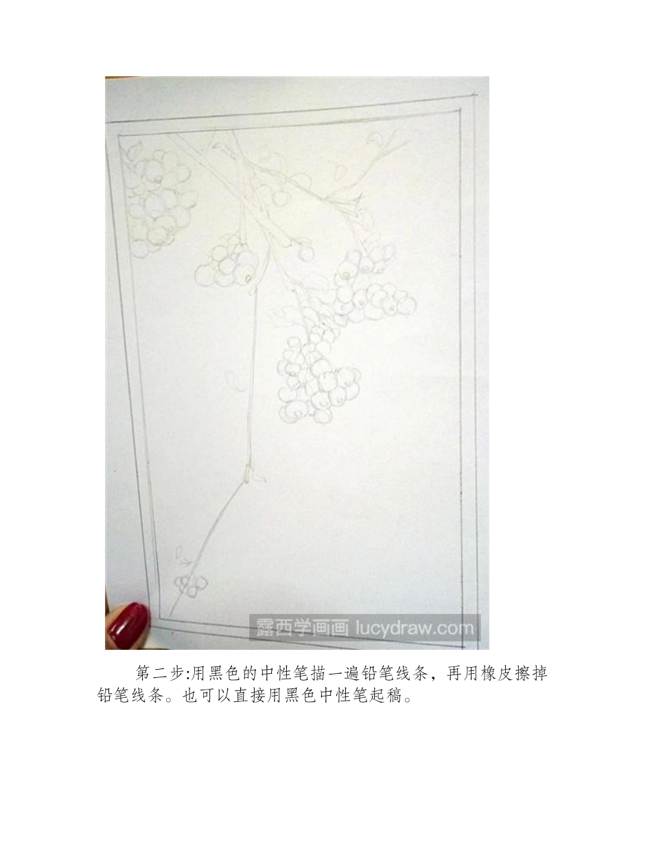 果子的插画步骤插画教程_第2页