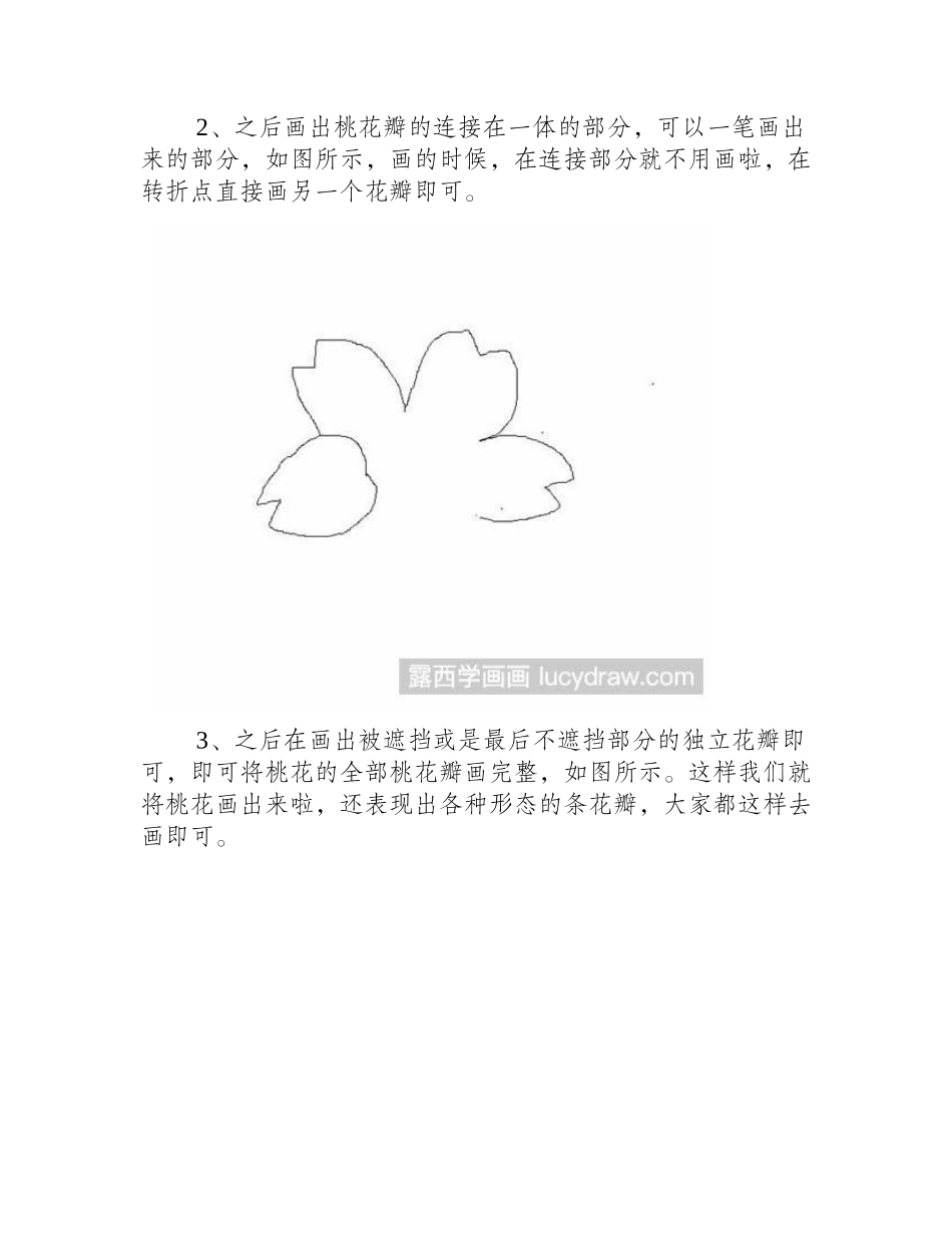 简笔画教程：教你画桃花瓣简笔画教程_第2页