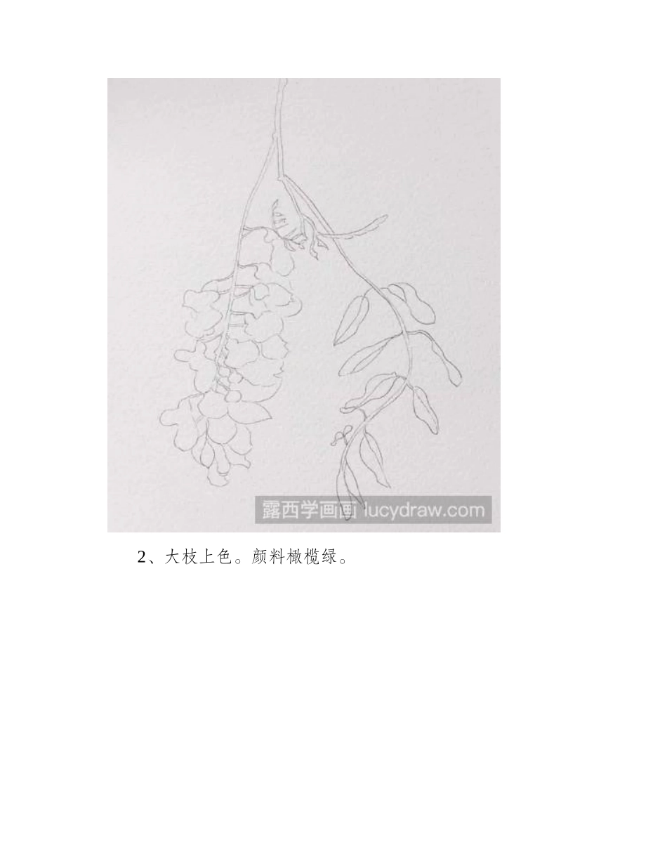 教你画水彩槐花水彩画教程_第2页