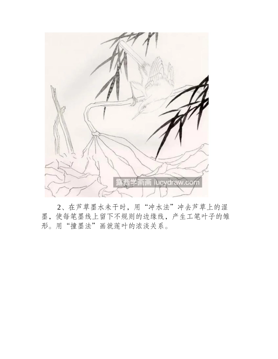 鹡鸰鸟怎么画_张飞鸟的工笔画法是什么_工笔画教程_第2页