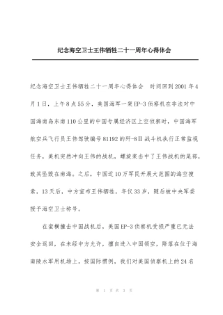 纪念海空卫士王伟牺牲二十一周年心得体会