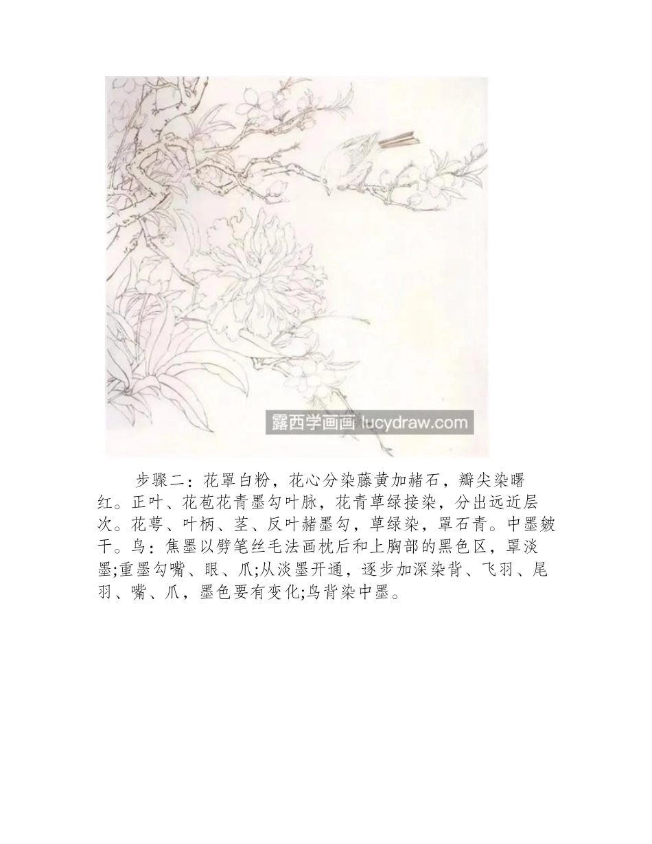 黄色芍药花怎么画_有哪些绘画步骤_工笔画教程_第2页
