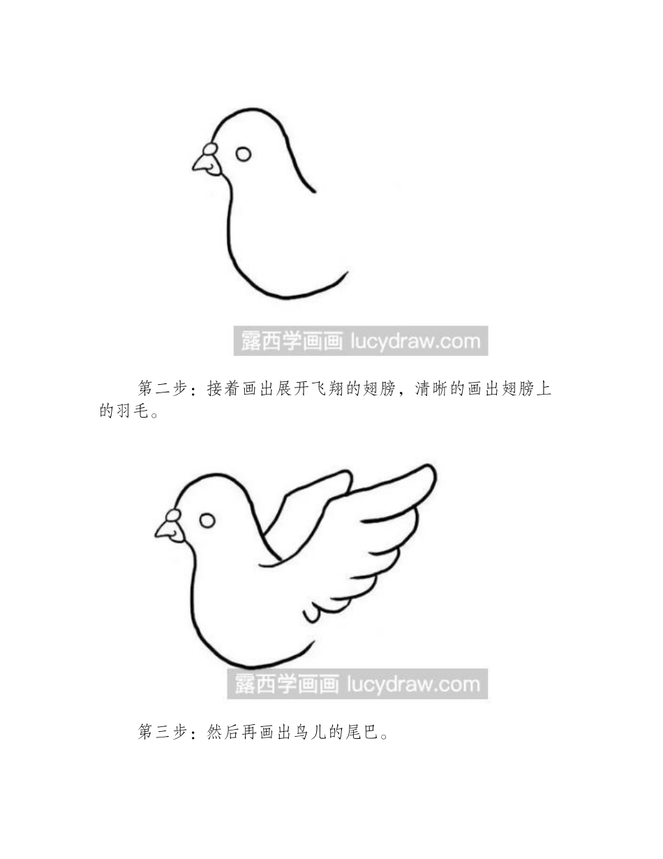 教你画一只和平鸽简笔画教程_第2页